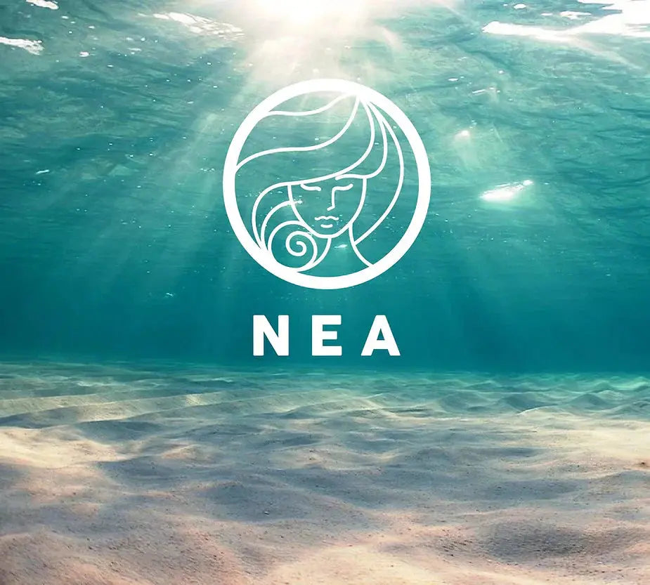canned water nea ocean